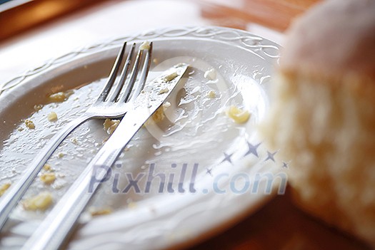 empty dish empty dish