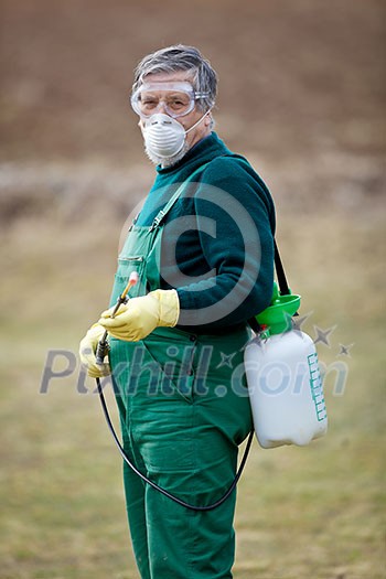 Using chemicals in the garden/orchard: gardener applying an insecticide/a fertilizer to his fruit shrubs, using a sprayer Using chemicals in the garden/orchard: gardener applying an insecticide/a fertilizer to his fruit shrubs, using a sprayer