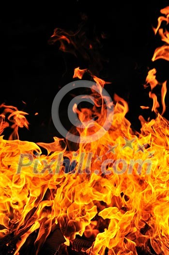 wild fire flames burn hot with black background wild fire flames burn hot with black background