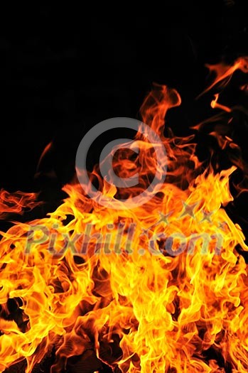 wild fire flames burn hot with black background wild fire flames burn hot with black background