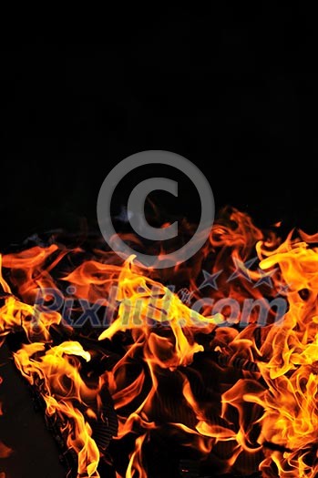 wild fire flames burn hot with black background wild fire flames burn hot with black background