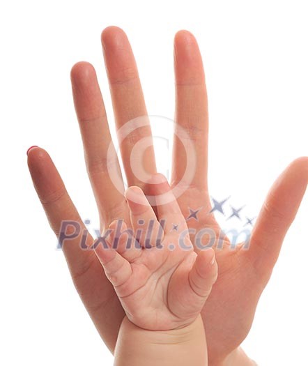 woman and baby hand together isolated on white representing love and family concept woman and baby hand together isolated on white representing love and family concept