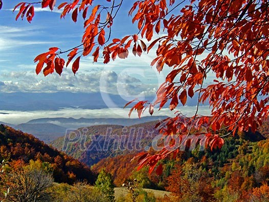 season colors in nature season colors in nature