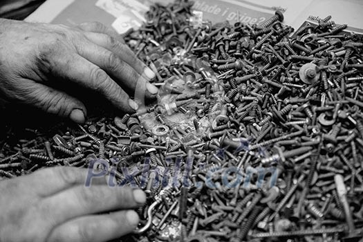 Set of screw and bolt heads Set of screw and bolt heads