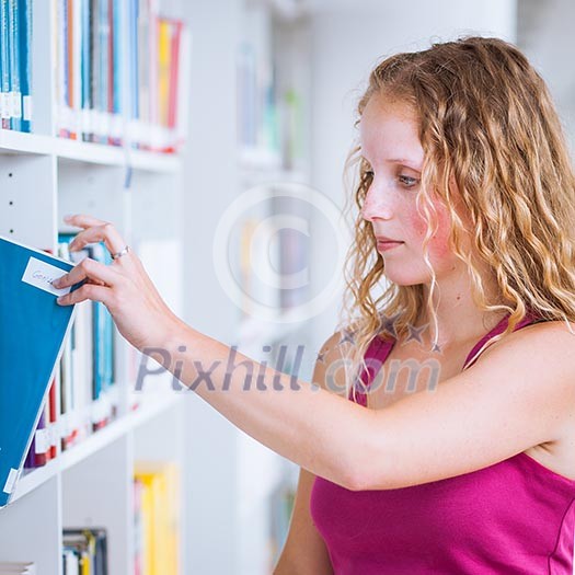 Pretty, young college student female college student in a library (shallow DOF; color toned image) Pretty, young college student female college student in a library (shallow DOF; color toned image)