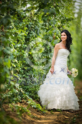 Gorgeous bride on her wedding day (color toned image; shallow DOF) Gorgeous bride on her wedding day (color toned image; shallow DOF)