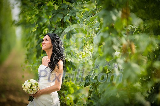Gorgeous bride on her wedding day (color toned image; shallow DOF) Gorgeous bride on her wedding day (color toned image; shallow DOF)