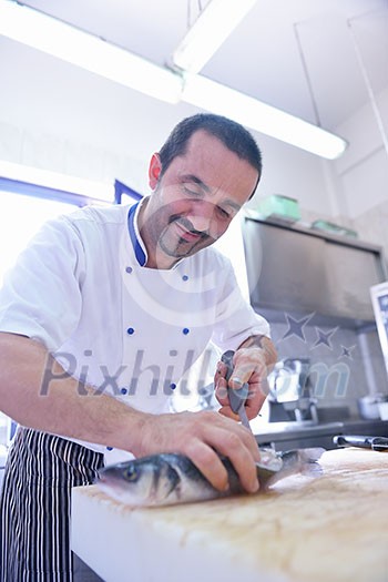 Handsome chef dressed in white uniform decorating pasta salad and seafood fish in modern kitchen Handsome chef dressed in white uniform decorating pasta salad and seafood fish in modern kitchen