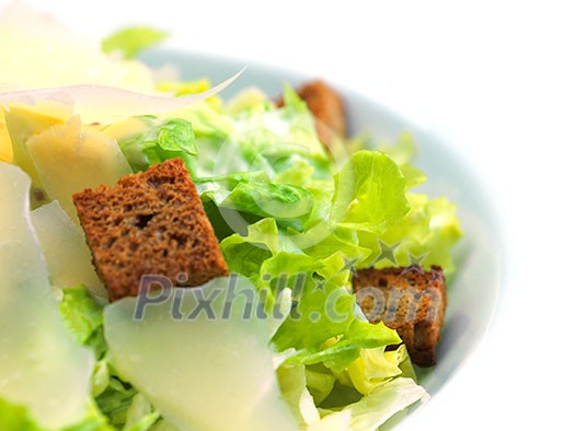 fresh organic eco vegetable salad,close-up isolated on white fresh organic eco vegetable salad,close-up isolated on white