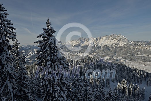 winter nature landscape mountaint with tree and fresh snow winter nature landscape mountaint with tree and fresh snow