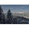 winter nature landscape  mountaint  with tree and fresh snow