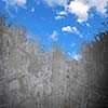 Background conceptual image with cement wall painted like sky