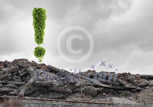 Conceptual image with exclamation mark growing on ruins Conceptual image with exclamation mark growing on ruins