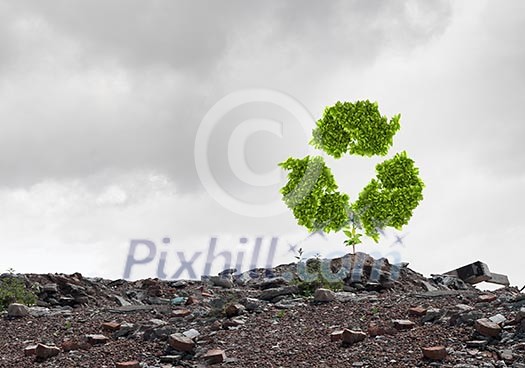 Conceptual image with recycle green sign growing on ruins Conceptual image with recycle green sign growing on ruins