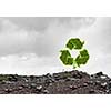 Conceptual image with recycle green sign growing on ruins