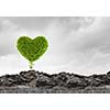 Conceptual image with green heart growing on ruins