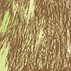 vector abstract wood for background 