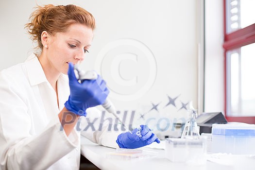 Portrait of a female researcher doing research in a lab (shallow DOF; color toned image) Portrait of a female researcher doing research in a lab (shallow DOF; color toned image)