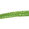 isolated grass with rain drops
