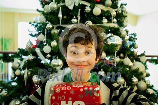 Smiling boy with giftbox looking at camera out of decorated firtree Smiling boy with giftbox looking at camera out of decorated firtree