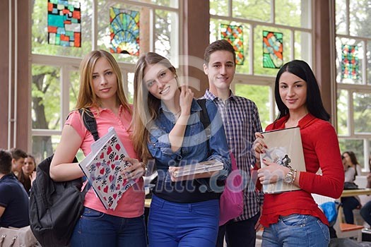 happy young teens group in school have fun an learning lessons happy young teens group in school have fun an learning lessons