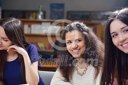 happy young teens group in school have fun an learning lessons happy young teens group in school have fun an learning lessons