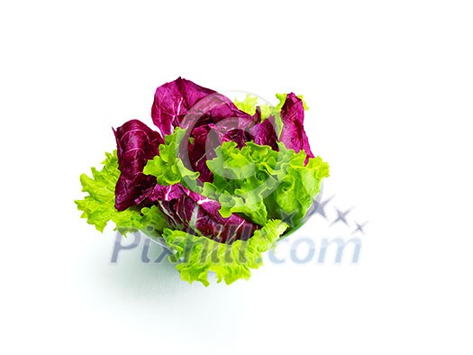 fresh organic eco vegetable green salad, close-up isolated on white and black background fresh organic eco vegetable green salad, close-up isolated on white and black background