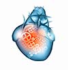 Human heart image with mechanisms. Health and medicine