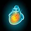 Human heart image with mechanisms. Health and medicine