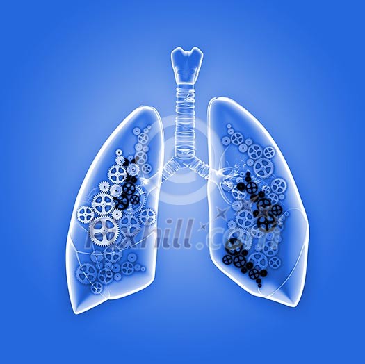 Human lungs with mechanisms. Health and medicine Human lungs with mechanisms. Health and medicine