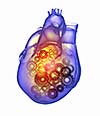 Human heart image with mechanisms. Health and medicine