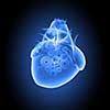 Human heart image with mechanisms. Health and medicine