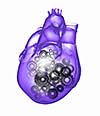 Human heart image with mechanisms. Health and medicine