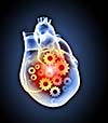 Human heart image with mechanisms. Health and medicine