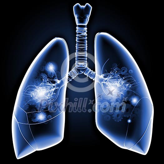 Human lungs with mechanisms. Health and medicine Human lungs with mechanisms. Health and medicine