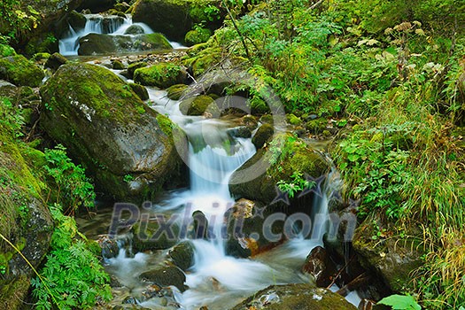 mountain forest landscapecreek with fresh water mountain forest landscapecreek with fresh water
