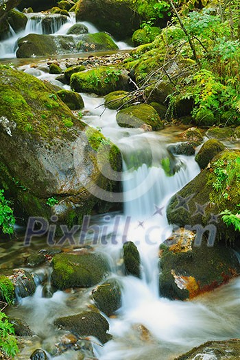 mountain forest landscapecreek with fresh water mountain forest landscapecreek with fresh water