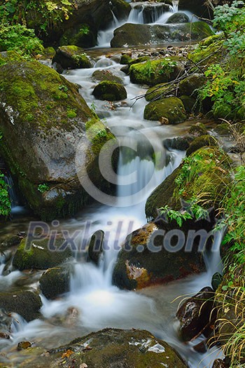 mountain forest landscapecreek with fresh water mountain forest landscapecreek with fresh water