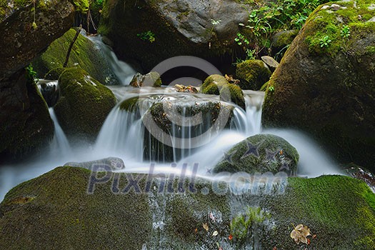 mountain forest landscapecreek with fresh water mountain forest landscapecreek with fresh water