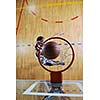 young healthy man play basketball game indoor in gym