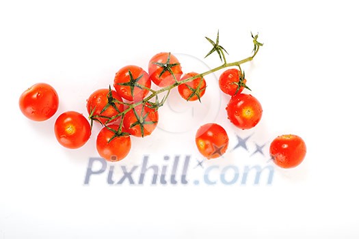 small wet fresh red tomato group isolated on white small wet fresh red tomato group isolated on white