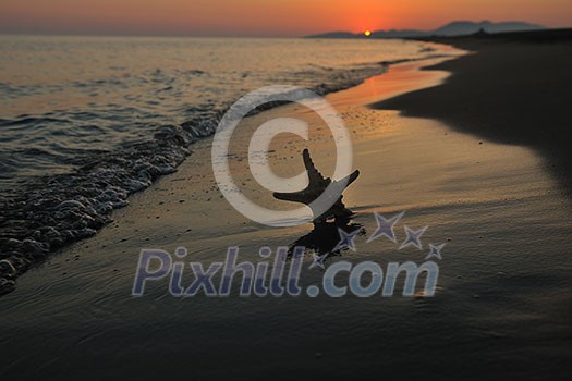 summer beach sunset with star on beach representing freedom freshnes and travel concept summer beach sunset with star on beach representing freedom freshnes and travel concept