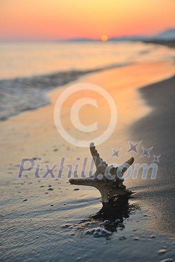 summer beach sunset with star on beach representing freedom freshnes and travel concept summer beach sunset with star on beach representing freedom freshnes and travel concept