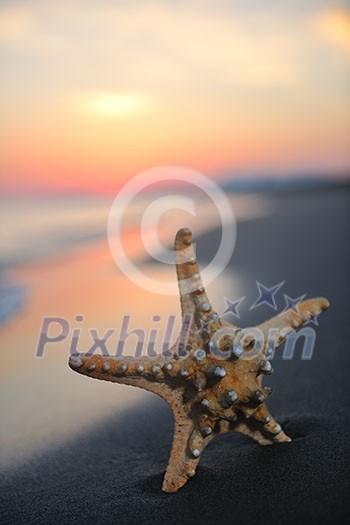 summer beach sunset with star on beach representing freedom freshnes and travel concept summer beach sunset with star on beach representing freedom freshnes and travel concept