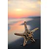 summer beach sunset with star on beach representing freedom freshnes and travel concept