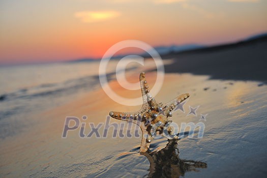 summer beach sunset with star on beach representing freedom freshnes and travel concept summer beach sunset with star on beach representing freedom freshnes and travel concept