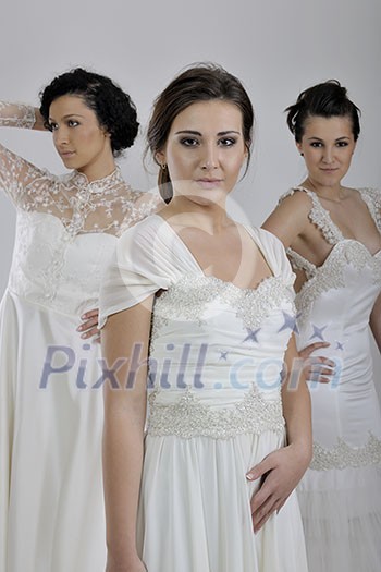 portrait of a three beautiful woman in wedding dress, bride and her friends bridesmaid portrait of a three beautiful woman in wedding dress, bride and her friends bridesmaid