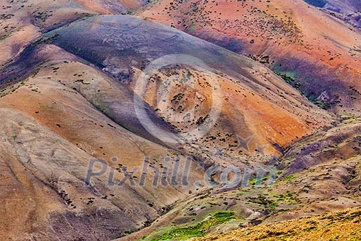 Colors of Himalayas. Spiti valley, Himachal Pradesh, India Colors of Himalayas. Spiti valley, Himachal Pradesh, India