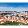 Aerial view of Charles Bridge over Vltava river and Old city from Petrin hill Observation Tower with tilt shift toy effect shallow depth of field. Prague, Czech Republic