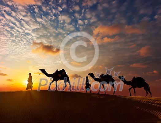 Rajasthan travel background - two indian cameleers (camel drivers) with camels silhouettes in dunes of Thar desert on sunset. Jaisalmer, Rajasthan, India Rajasthan travel background - two indian cameleers (camel drivers) with camels silhouettes in dunes of Thar desert on sunset. Jaisalmer, Rajasthan, India